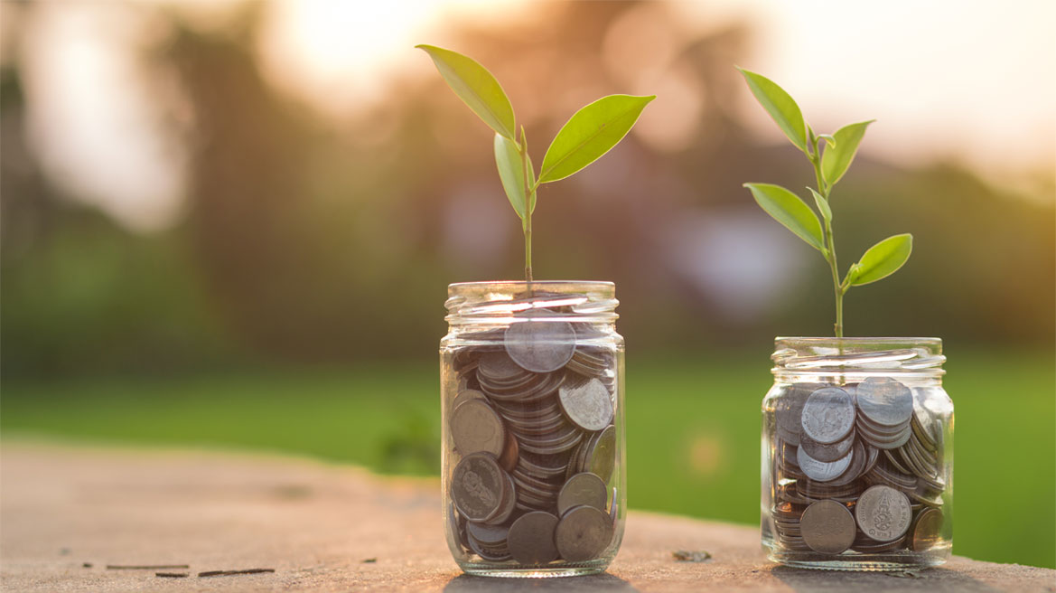 two glass jars full with coins and stem with leaves coming out