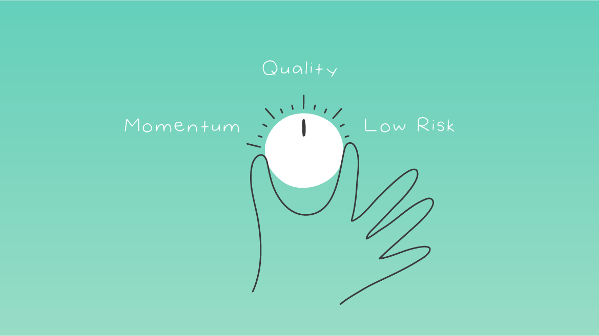 hand adjusting momentum quality low risk